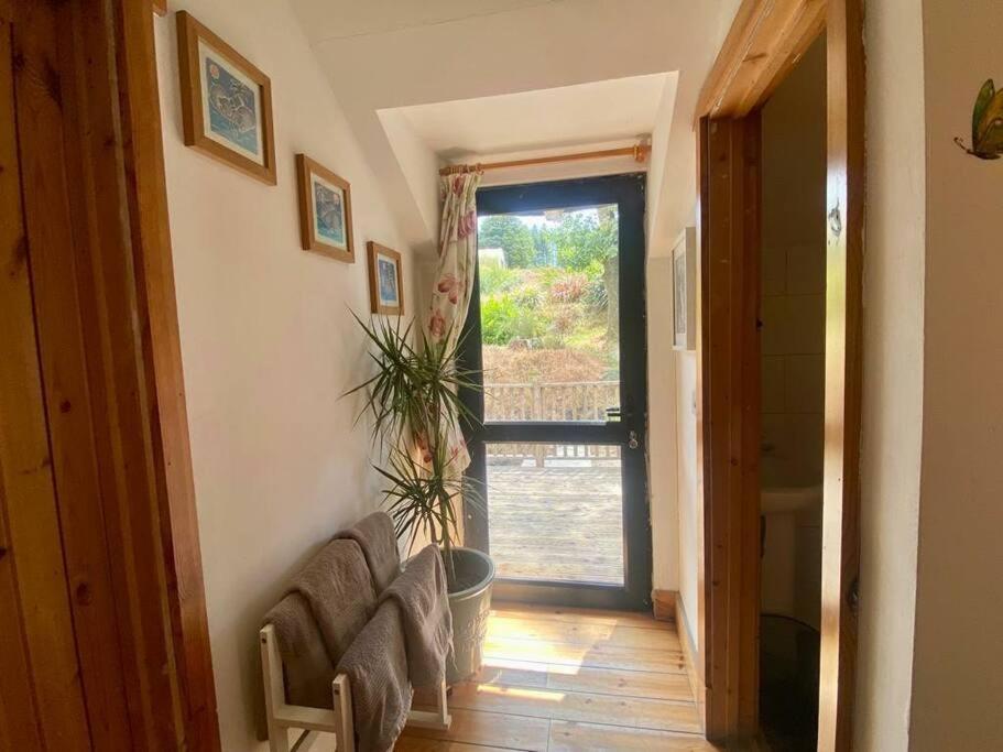 Kingsford Renovated Old Cottage Wexford Buitenkant foto