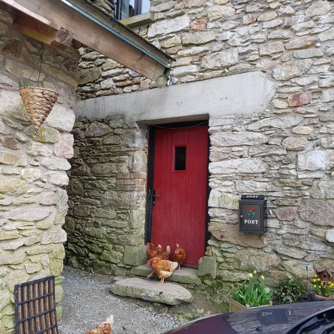 Kingsford Renovated Old Cottage Wexford Buitenkant foto