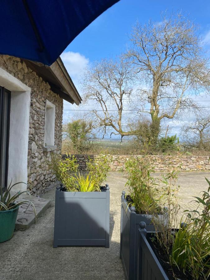 Kingsford Renovated Old Cottage Wexford Buitenkant foto