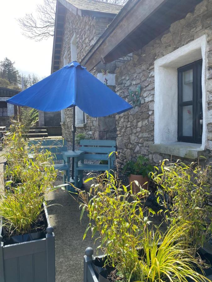 Kingsford Renovated Old Cottage Wexford Buitenkant foto